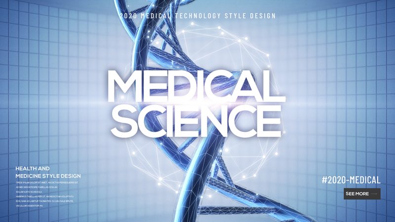 CDMO服务流程分类：揭秘药物研发背后的关键环节