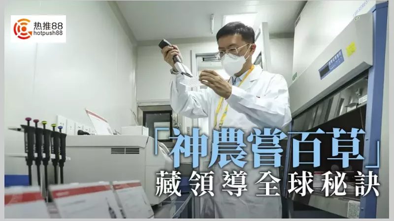 PCR引物合成：揭秘十大品牌背后的技术奥秘
