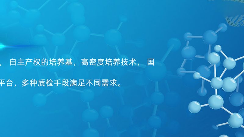 酶制剂代理加盟：技术培训，开启生物科技新篇章**