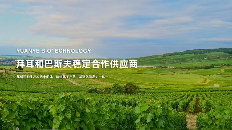 儿童全基因组检测：揭秘价格背后的价值**