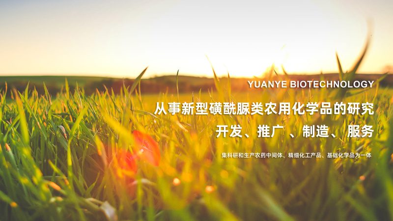 生物科技公司报价单，你读懂了吗？**