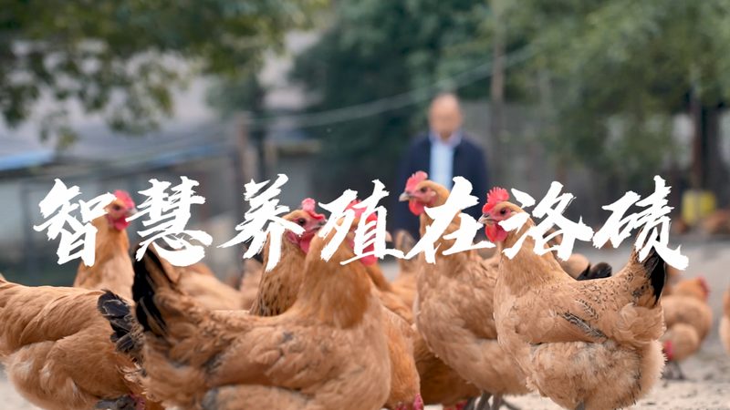 国内生物医药CRO公司排名：揭秘行业实力与选择标准