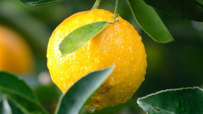 生物医药外包项目风险管理的五大关键措施**