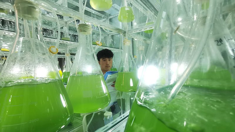 运动基因检测：揭秘其靠谱背后的科学**